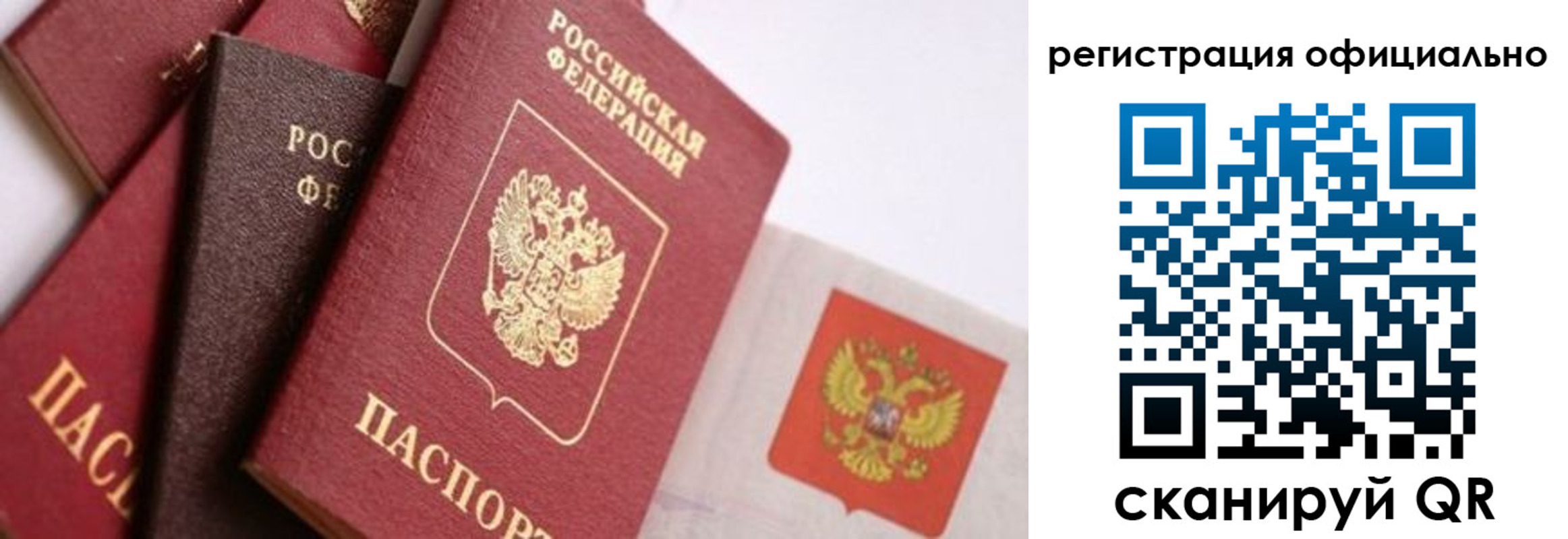 прописка гарантия в Озёрске